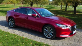 Feine Linien und fette Polster