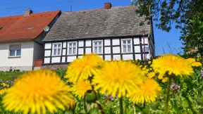 Ein Grundstück als Geschenk