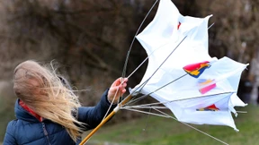 Sturmböen knicken Bäume um und lassen Boote kentern