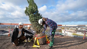 Grüner wohnen – um jeden Preis