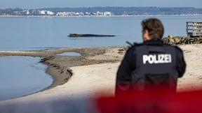 Großwal an der Ostseeküste gestrandet