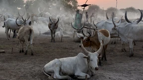 An den Feuern der Mundari