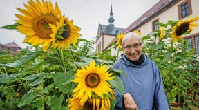 Kleinod hinter Mauern