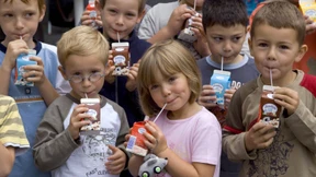 Die Hysterie um die Milch