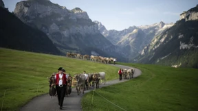 Die KI-Nation Schweiz