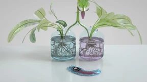 Nachricht aus dem Tal des Unheimlichen