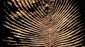 Vor den Totentempeln der Natur