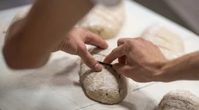 Wie auch Azubis das Erasmus-Programm nutzen können