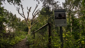 Opfer der Trockenheit