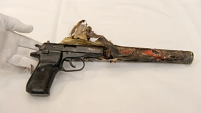 Der Rechtsstaat darf kein Dickicht sein