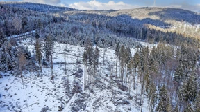 Kritik am Klimagesetz von allen Seiten