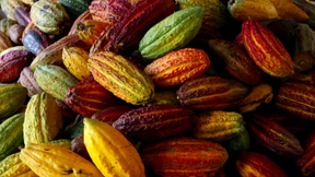 Gutes tun und Geld verdienen