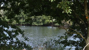 Polizei lässt wegen Mordermittlungen kompletten See abpumpen