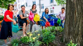 Paten für Bäume, Beete und Kübel gesucht