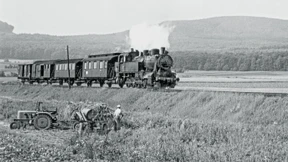 Eine Renaissance, die Probleme macht