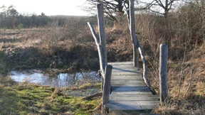 Das närrischste Dorf Hessens