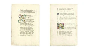 Acht Blätter für ein kleines Vermögen