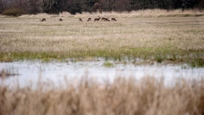 Nur moderate Erholung der Grundwassersituation