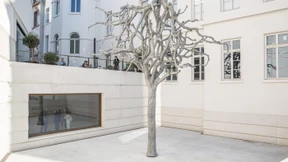 400.000 Besucher seit der Wiedereröffnung