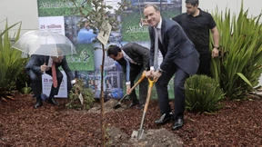 Astra-Zeneca pflanzt 200 Millionen Bäume