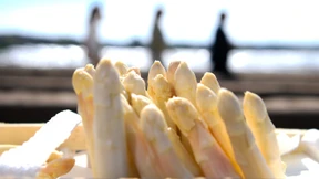 Was beim Spargel-Kauf zu beachten ist