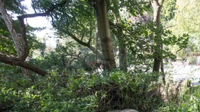 Hund verletzt sein Herrchen lebensgefährlich