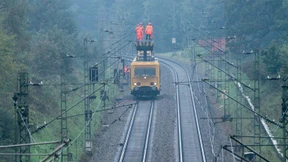 Manchmal fällt die Vegetation auch einfach um