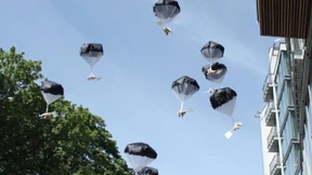 Bären als Botschafter 