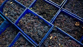 Kreml veröffentlicht Sanktionsliste