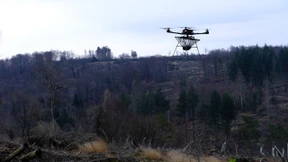 Warum Baumsamen mit Drohnen ausgebracht werden