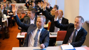 AfD-Fraktion in Schweriner Landtag spaltet sich