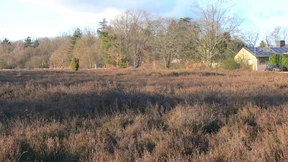 Der Taunus ist einst ganz anders gewesen