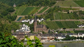 Mutmaßlicher Reichsbürger im Rheingau im Visier der Polizei
