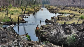 Was der Klimawandel in Afrika bewirkt