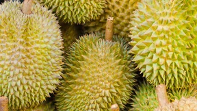 Die ungewöhnliche zweite Karriere der Stinkfrucht