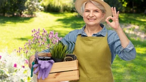 Psychotherapie im Garten