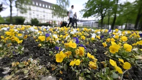 So sonnig und warm bleibt das Wetter nicht