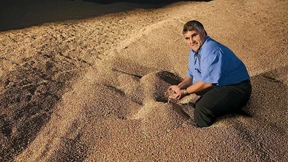 Anleger von KTG Agrar gehen wohl leer aus