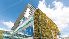 Nie wieder Bauschutt