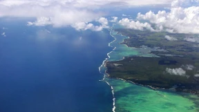 Legal, illegal, ganz egal