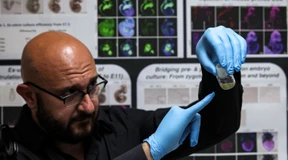 Embryonenähnliche Strukturen ohne Ei- und Samenzellen