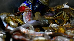 Fischer kämpfen gegen Verschmutzung der Meere