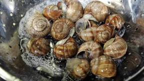 Glitschige Delikatessen aus dem Odenwald