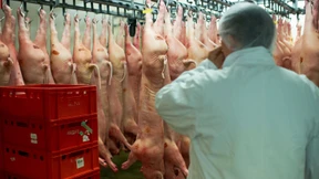 Die Fleischer schließen den ersten Tarifvertrag