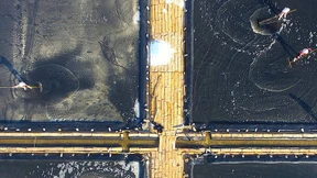 Der kostbarste aller Edelsteine