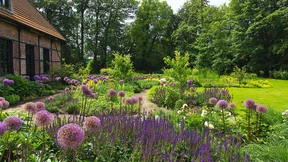 Steuern sparen im Garten