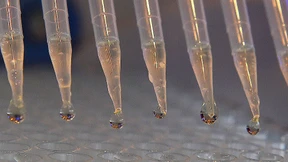 Laborkette Synlab legt die Preisspanne fest