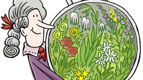 Grüne Bomben aus Ton, Samen und Erde