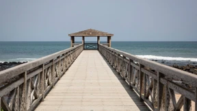 Mango Pastete mit griechischem Joghurt