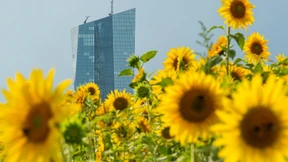 Lagarde schwärmt für Baerbock